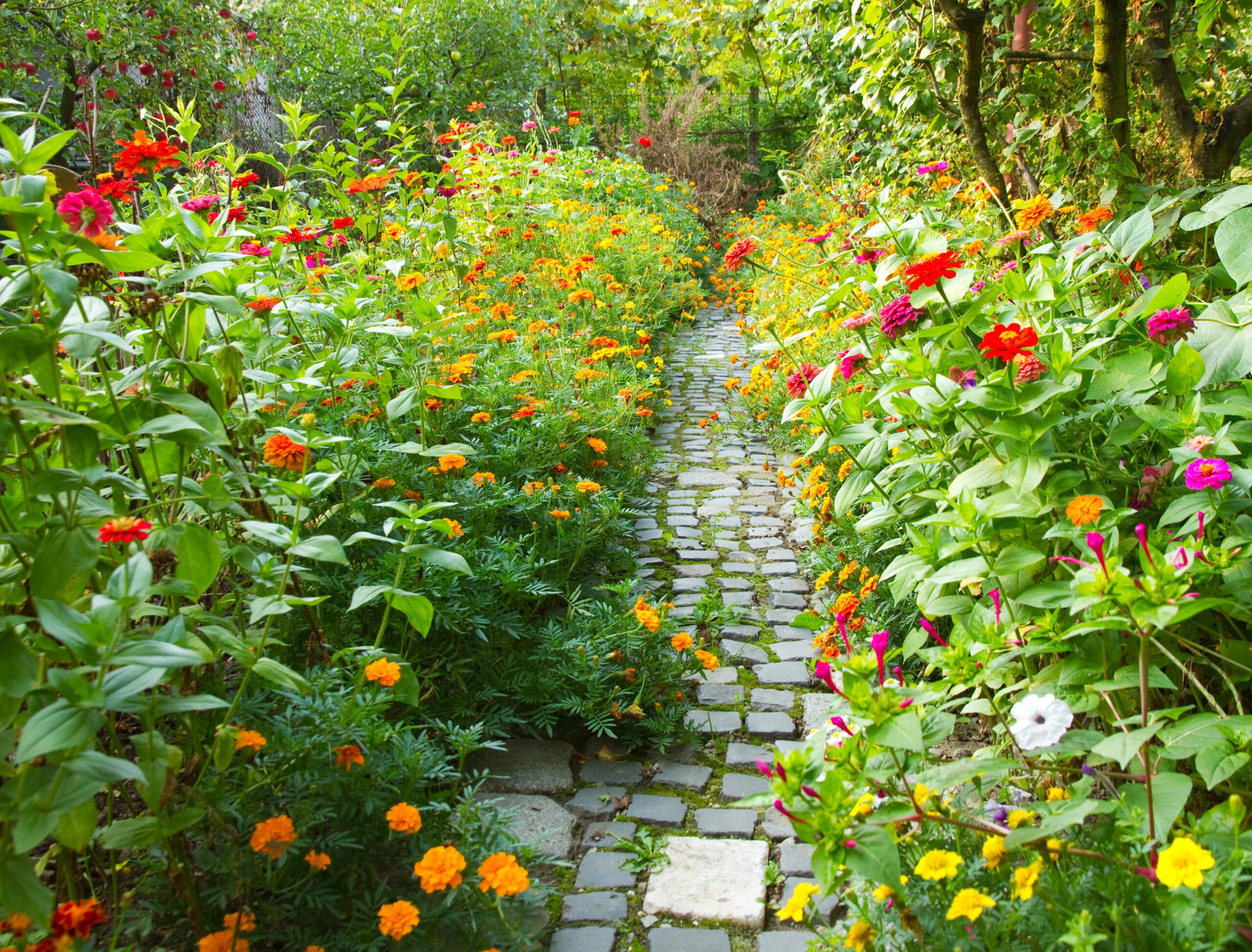 Schmaler Weg in einem Garten umgeben von Blumen